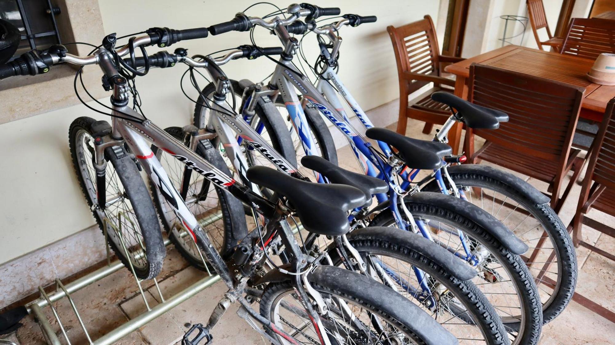 Agriturismo Al Tralcio Valeggio sul Mincio Zewnętrze zdjęcie